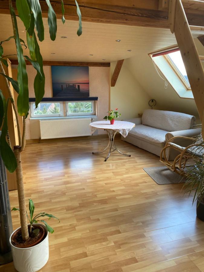 Helles Und Charmantes Loft Mit Herrlichem Blick Dresden Exterior photo
