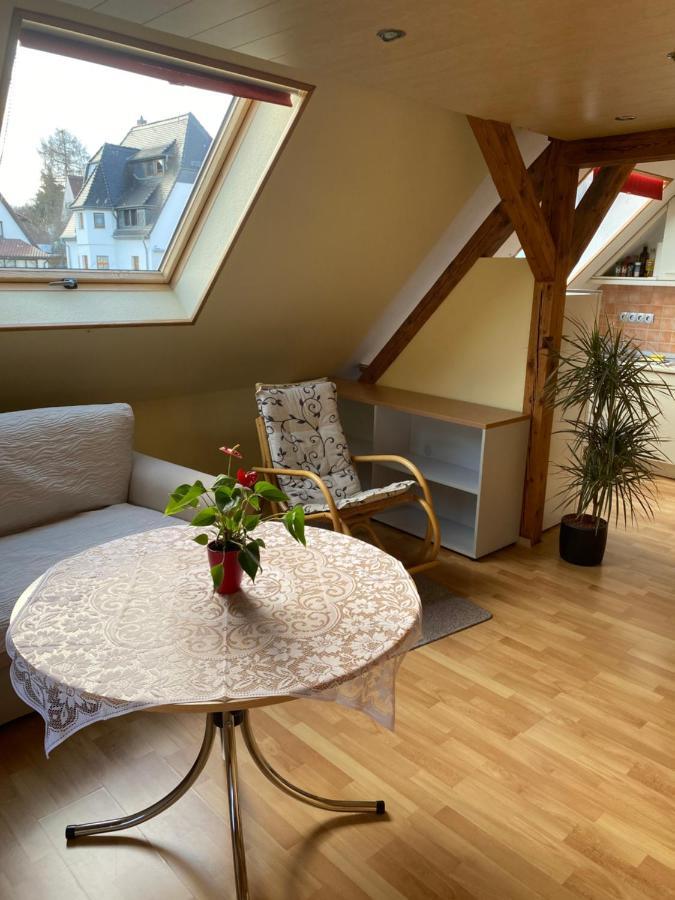 Helles Und Charmantes Loft Mit Herrlichem Blick Dresden Exterior photo